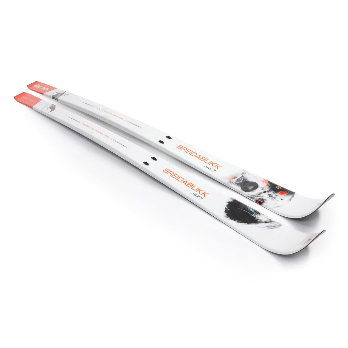 Breidablikk HUN BC WL/FL Turskidor