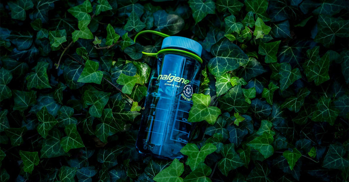 Translucent blå Nalgene Sustain vattenflaska liggande på ivy-lev