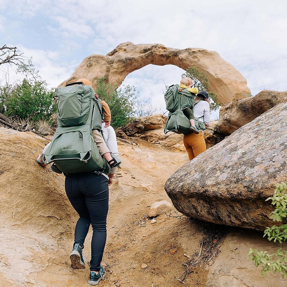Poco Premium Bärstol