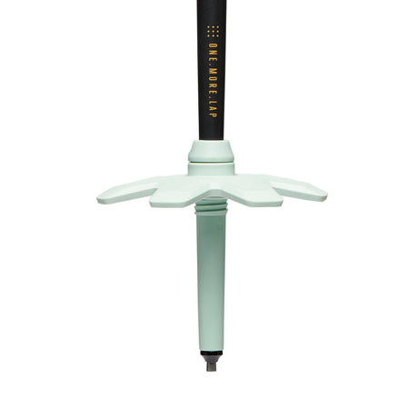 TRAVERSE PRO SKI POLES