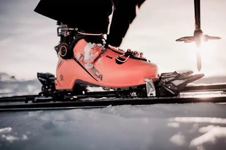 FRITSCHI VIPEC EVO 12 Bindning Topptur