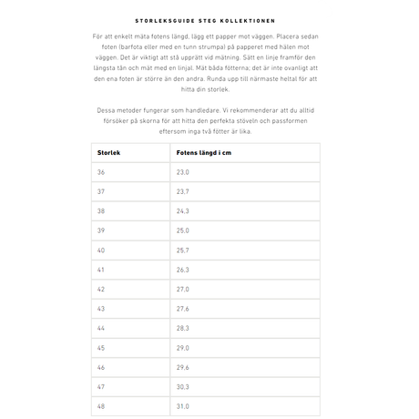 Laggo Leather Adv. GTX Sko Herr