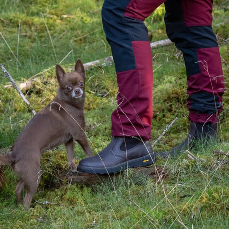 Åreskutan Chelsea boot/känga
